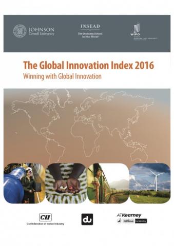 <p>Credit: <a href="https://www.globalinnovationindex.org/">Global Innovation Index 2016</a></p>
