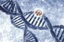 Using ROOT for Genomics Data Analysis