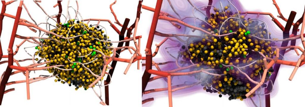BioDynaMo | CERN Success Stories