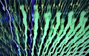 CERN Quantum Technology Initiative unveils strategic roadmap shaping CERN’s role in next quantum revolution